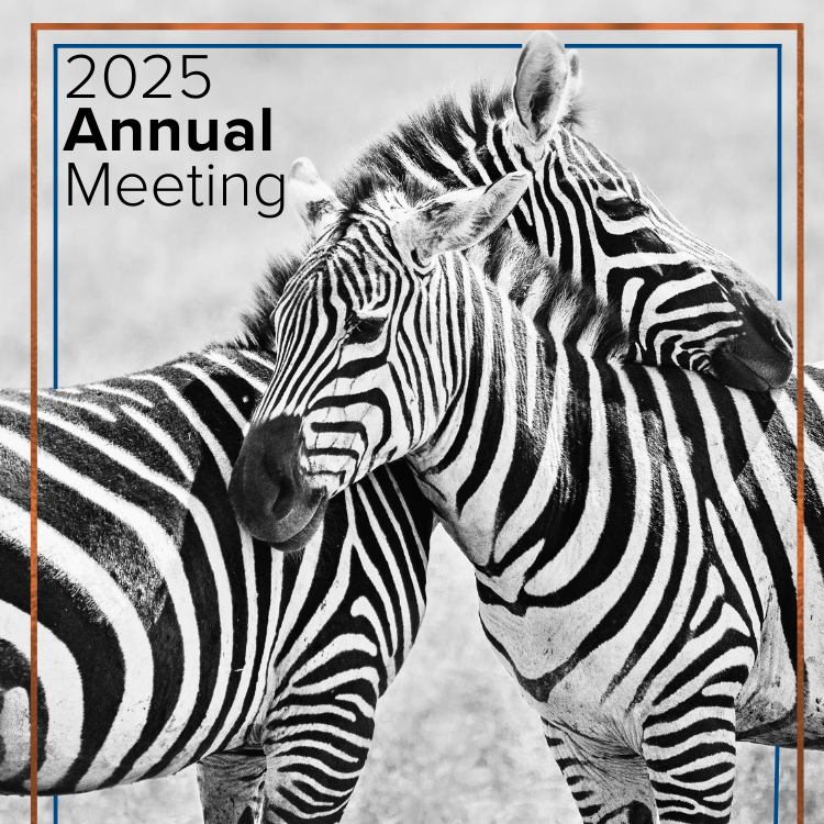 2025 Annual Meeting and Board Election